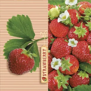 Serwetki mix bibuła [mm:] 330x330 Pol-mak (SL og)