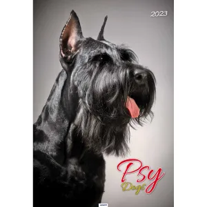 Kalendarz ścienny Avanti wieloplanszowy paskowy 285mm x 410mm (5901769621107)