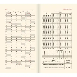 Kalendarz książkowy (terminarz) złoty A6 Lucrum (TR złoty)