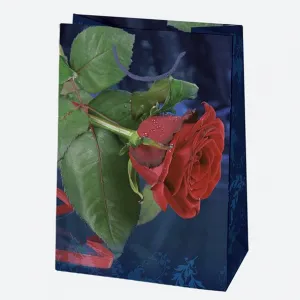 Torba prezentowa Pol-mak 230mm x 320mm x 110mm (T5)