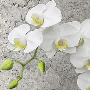 Serwetki mix bibuła [mm:] 330x330 Pol-mak (SL og)