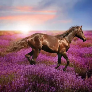 Kalendarz ścienny Avanti wieloplanszowy 300mm x 600mm (KAD-11)