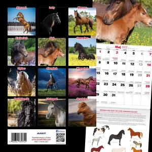 Kalendarz ścienny Avanti wieloplanszowy 300mm x 600mm (KAD-11)