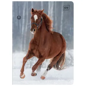 Zeszyt MIX A5 32k. 70g krata Interdruk (ZE32KF#)