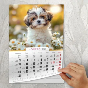 Kalendarz ścienny A4 MILUSIŃSCY A4 Press (5904830713473)