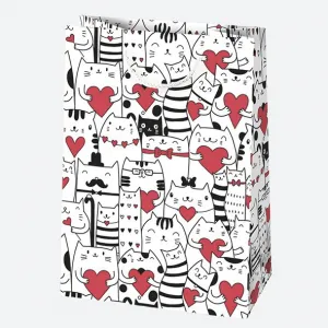 Torba prezentowa Pol-mak 230mm x 320mm x 110mm (T5)