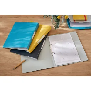 Segregator ringowy Cosy A4 32mm szary Leitz (42380089)