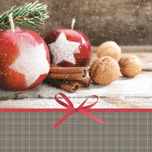 Serwetki Pol-mak gwiazdka - mix 330mm x 330mm (Sd GW)