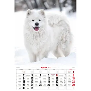 Kalendarz ścienny Avanti wieloplanszowy paskowy 285mm x 410mm (5901769621107)