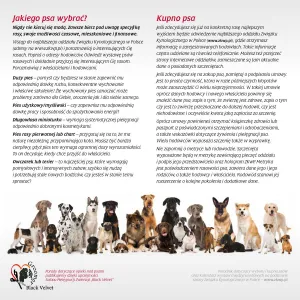 Kalendarz ścienny Avanti wieloplanszowy 300mm x 600mm (KAD-10)