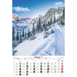 Kalendarz ścienny Avanti wieloplanszowy paskowy 285mm x 420mm (5901769620827)