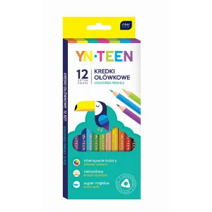Kredki ołówkowe Noster 12 kol. (KRE87)