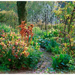 Kalendarz ścienny Lucrum 13-planszowe 320mm x 470mm (RW11)