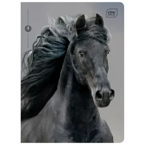 Zeszyt A5 32k. 70g linia Interdruk (ZE60#405B)