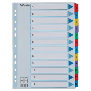 Przekładka numeryczna Mylar kartonowe A4 mix kolorów 160g 12k 1-12 Esselte (100162)