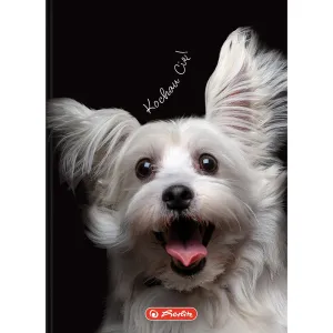 Brulion Crazy Animal A6 80k. 70g krata Herlitz (400196850)