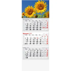 Kalendarz ścienny Avanti trójdzielne (5901769620568)