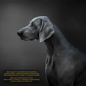 Kalendarz ścienny Avanti wieloplanszowy 300mm x 600mm (KAD-10)