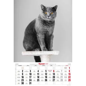 Kalendarz ścienny Avanti wieloplanszowy paskowy 285mm x 410mm (5901769621091)