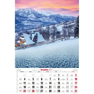 Kalendarz ścienny Avanti wieloplanszowy paskowy 285mm x 420mm (5901769620827)