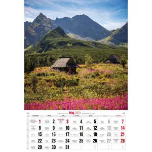 Kalendarz ścienny Avanti wieloplanszowy paskowy 285mm x 420mm (5901769620827)