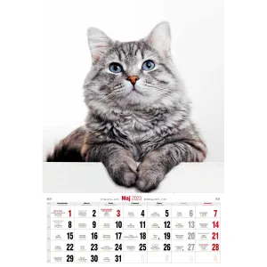 Kalendarz ścienny Avanti wieloplanszowy paskowy 285mm x 410mm (5901769621091)