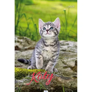 Kalendarz ścienny Avanti wieloplanszowy paskowy 285mm x 410mm (5901769621091)