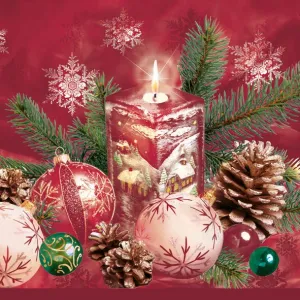 Serwetki Pol-mak gwiazdka - mix 330mm x 330mm (Sd GW)