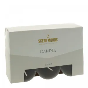 Świeca pieńkowa 5x5cm 6szt., w kolorze Black Pavoncella (8720935400912)