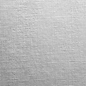 Papier ozdobny (wizytówkowy) A4 biały 190g Protos