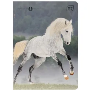 Zeszyt WILD HORSES A5 32k. 70g linia kolor Interdruk