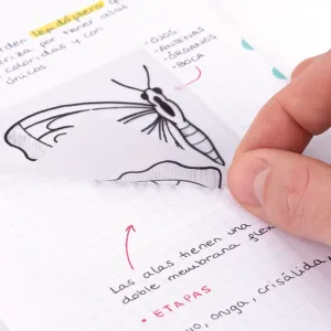 Karteczki samoprzylepne przezroczyste MILAN FLUO 76 x 76 mm, 50 szt.(411260050)