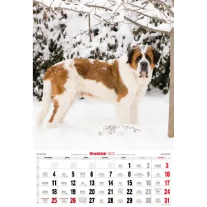 Kalendarz ścienny Avanti wieloplanszowy paskowy 285mm x 410mm (5901769621107)