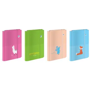 Teczka ofertowa A4+ kolor: mix 1 kieszeni Interdruk (TEGUTOBB)