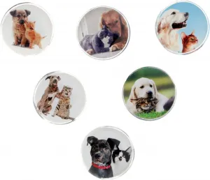 Magnes Fun&Joy PIES I KOT okrągły - mix śr. 30mm