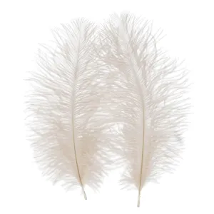 Piórka Craft With Fun (545786)