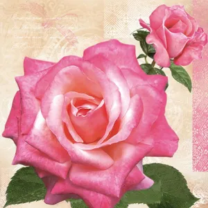 Serwetki mix bibuła [mm:] 330x330 Pol-mak (Sd)