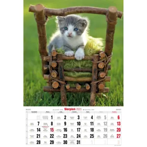 Kalendarz ścienny Avanti wieloplanszowy paskowy 285mm x 410mm (5901769621091)