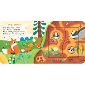 Książka dla dzieci W lesie. Otwórz i sprawdź! Aksjomat