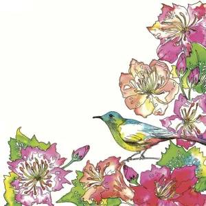 Serwetki mix bibuła [mm:] 330x330 Pol-mak (Sd)