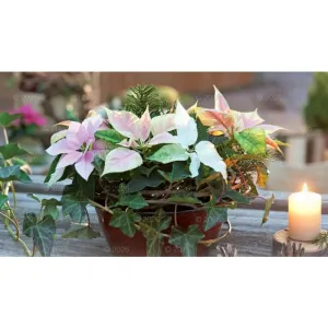 Kalendarz ścienny notatnikowy 2024 KOMPOZYCJA KWIATOWE 220mm x 490mm Lucrum (WN02)