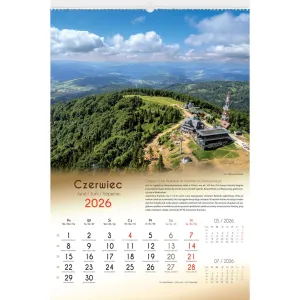 Kalendarz ścienny LASY POLSKIE 13-planszowe 2024 320mm x 470mm Lucrum (RW04)