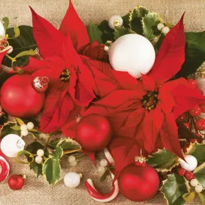 Serwetki Pol-mak Boże narodzenie - mix 330mm x 330mm (SL GW)