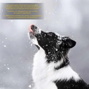 Kalendarz ścienny Avanti wieloplanszowy 300mm x 600mm (KAD-10)