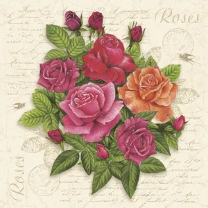 Serwetki mix bibuła [mm:] 330x330 Pol-mak (Sd)