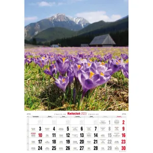 Kalendarz ścienny Avanti wieloplanszowy paskowy 285mm x 420mm (5901769620827)