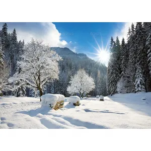 Kalendarz ścienny Tatry i Podhale Lucrum rodzinny 2023 280mm x 200mm (WL05)