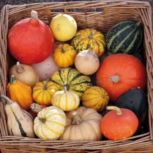 Kalendarz ścienny Avanti wieloplanszowy 300mm x 600mm (5901769620988)